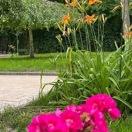 Balatonair Vendeghaz Penzion 3*