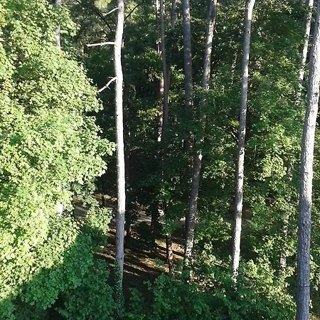 Balatonair Vendeghaz 3* Balatonfüred