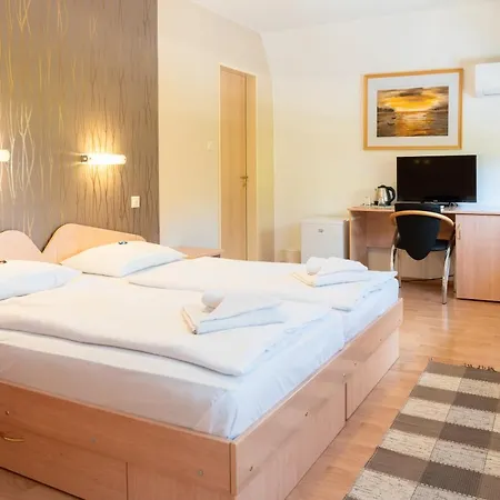 Penzion Balatonair Vendeghaz