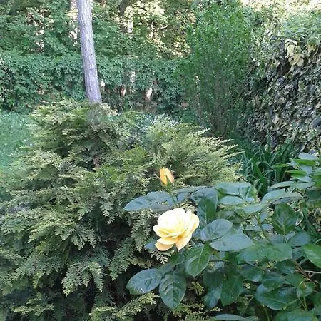 Balatonair Vendeghaz Penzion 3*