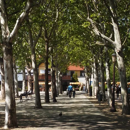 Penzion Balatonair Vendeghaz