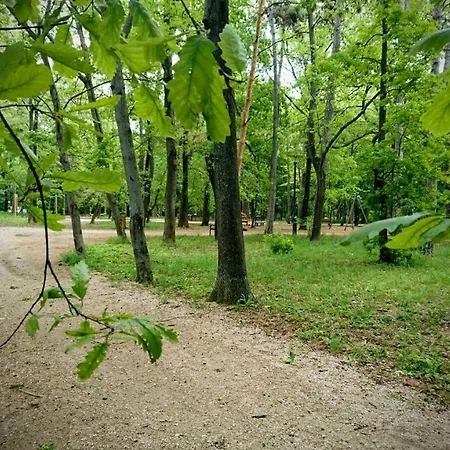 Penzion Balatonair Vendeghaz